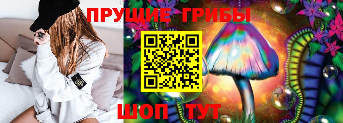 Галлюциногенные грибы прущие грибы  Вход с VPN  Коркино 